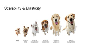 Scalability & Elasticity
 