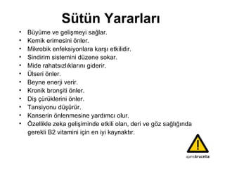 Sütün Yararları Büyüme ve gelişmeyi sağlar. Kemik erimesini önler. Mikrobik enfeksiyonlara karşı etkilidir. Sindirim sistemini düzene sokar. Mide rahatsızlıklarını giderir. Ülseri önler. Beyne enerji verir. Kronik bronşiti önler. Diş çürüklerini önler. Tansiyonu düşürür. Kanserin önlenmesine yardımcı olur. Özellikle zeka gelişiminde etkili olan, deri ve göz sağlığında gerekli B2 vitamini için en iyi kaynaktır. 