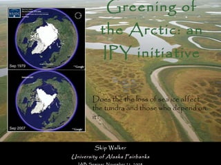 Greening of the Arctic: an IPY initiative Skip Walker University of Alaska Fairbanks IAB Seminar, November 21, 2008 Does the the loss of sea ice affect the tundra and those who depend on it? Sep 1979 Sep 2007 
