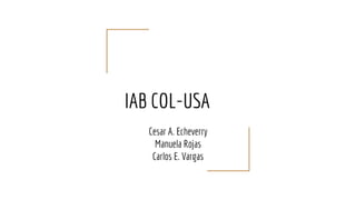IAB COL-USA
Cesar A. Echeverry
Manuela Rojas
Carlos E. Vargas
 