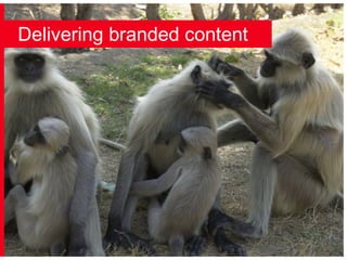 Delivering branded content 