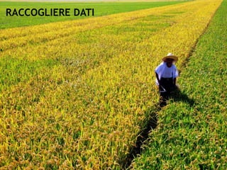 RACCOGLIERE DATI
 