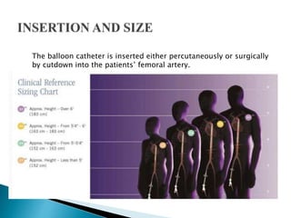 The balloon catheter is inserted either percutaneously or surgically
by cutdown into the patients’ femoral artery.
 