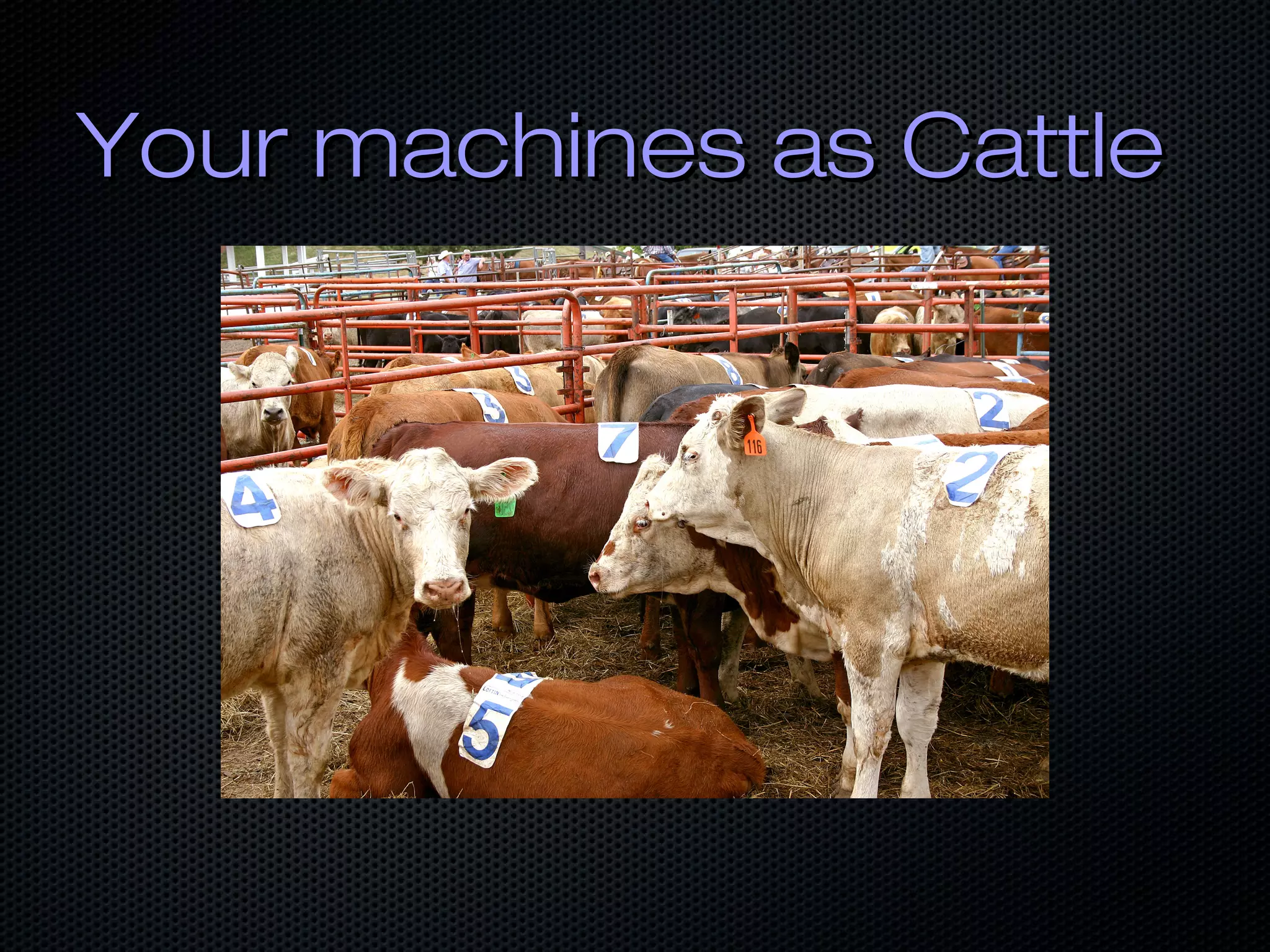 Your machines as CattleYour machines as Cattle
 