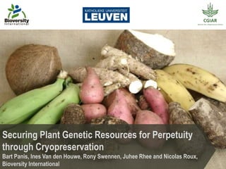 Securing Plant Genetic Resources for Perpetuity
through Cryopreservation
Bart Panis, Ines Van den Houwe, Rony Swennen, Juhee Rhee and Nicolas Roux,
Bioversity International
 