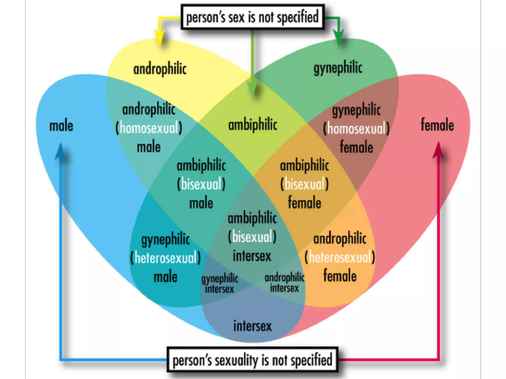 Gender and sexuality today
 