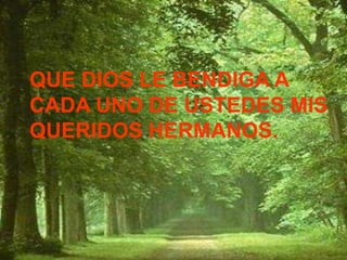 QUE DIOS LE BENDIGA A
CADA UNO DE USTEDES MIS
QUERIDOS HERMANOS.
 