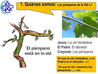 La figura del pámpano | PPT