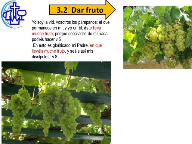 La figura del pámpano