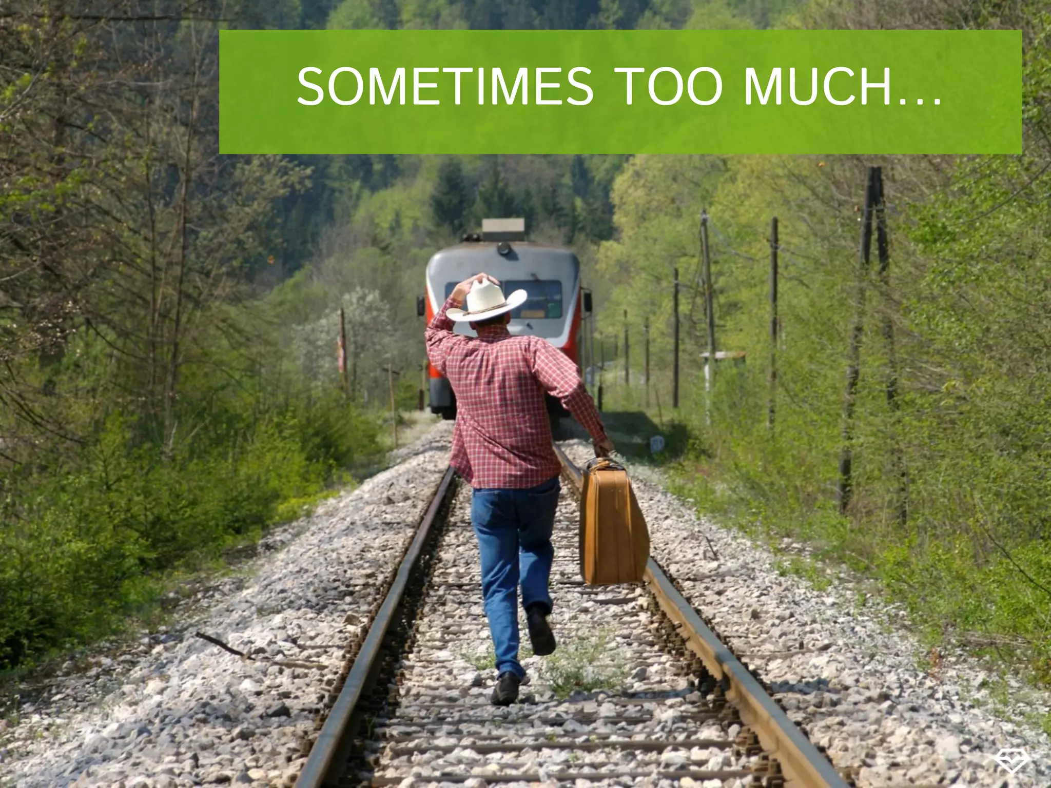 SOMETIMES TOO MUCH…
 