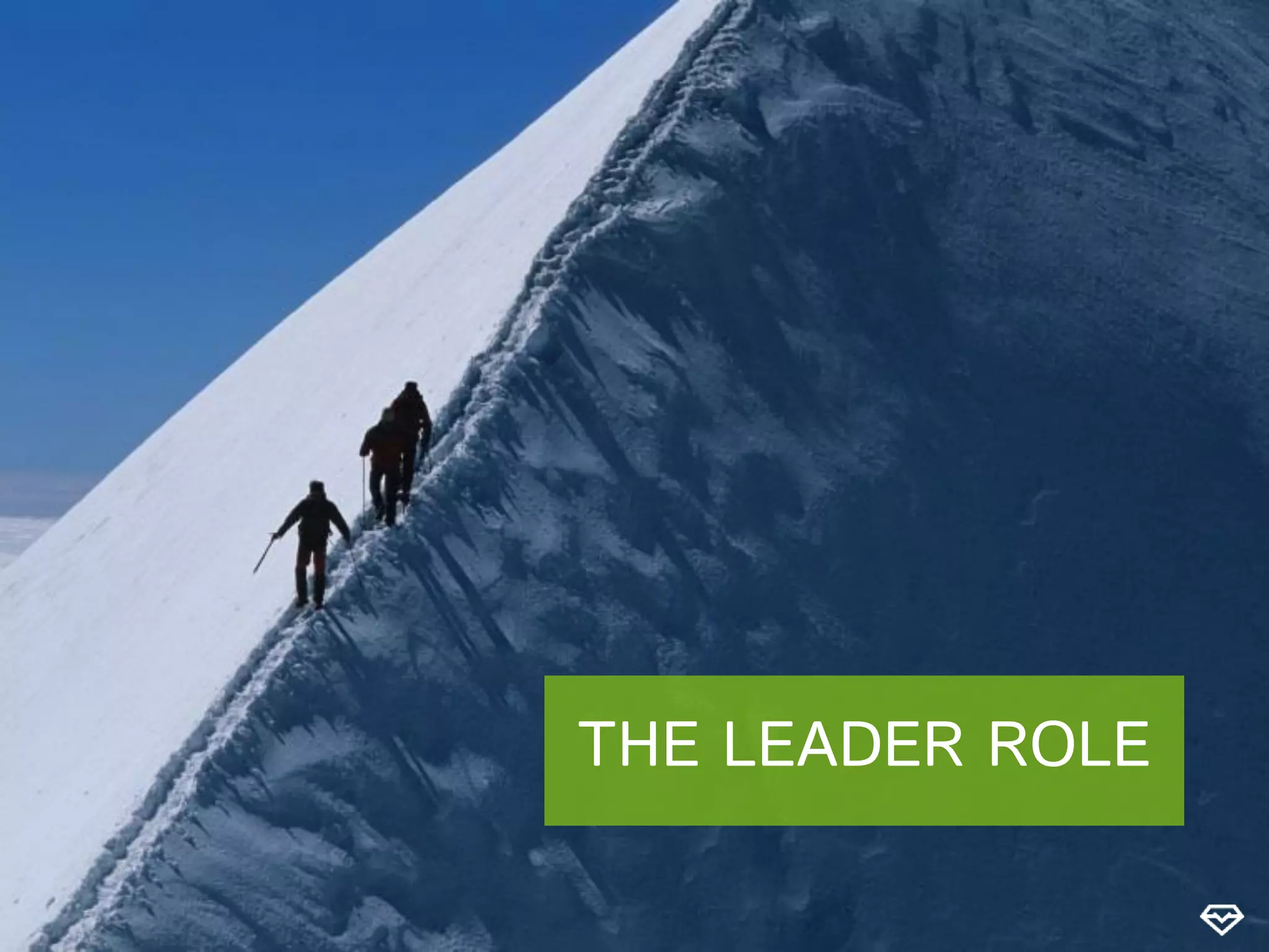 THE LEADER ROLE
 