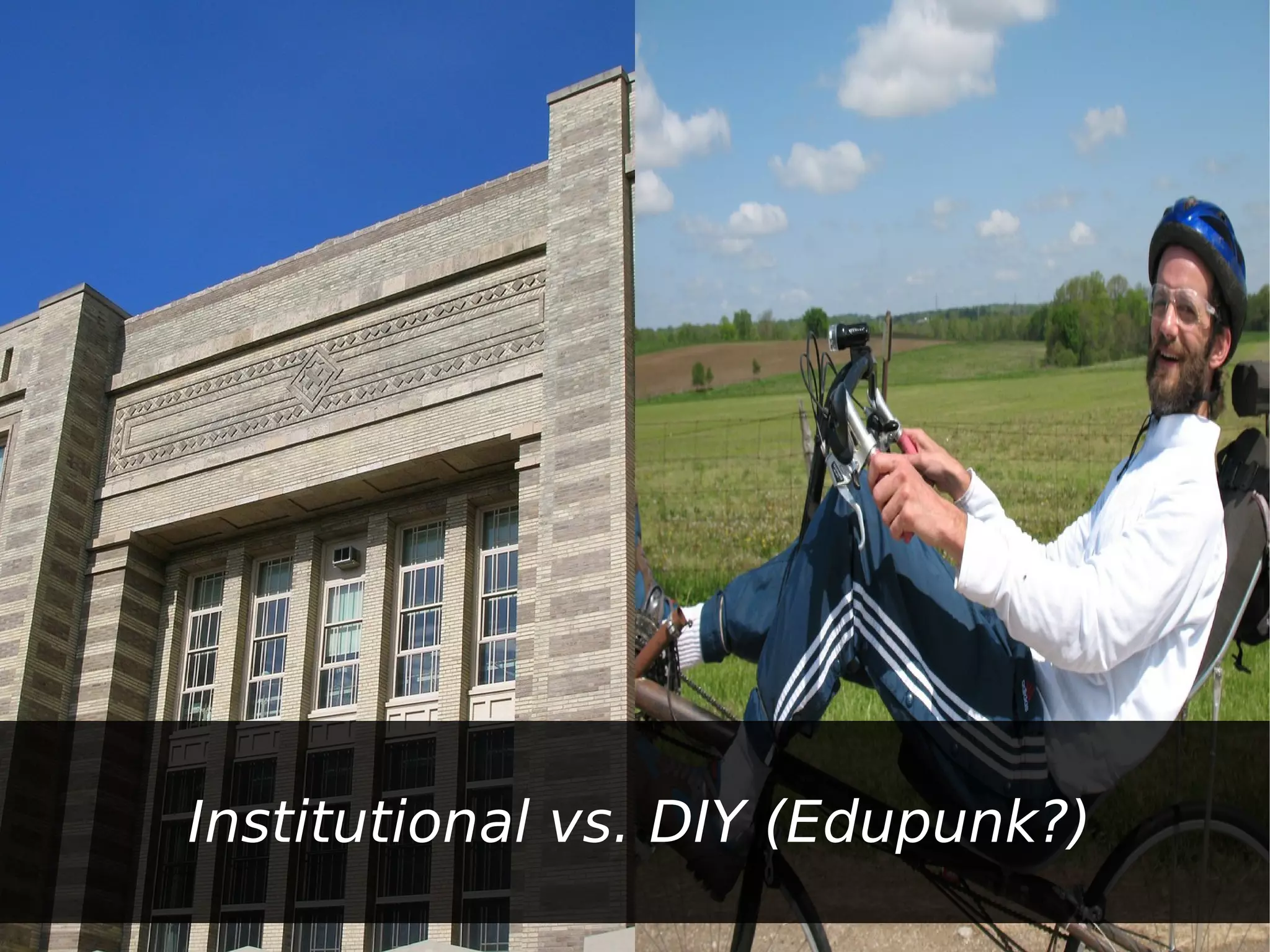 Institutional vs. DIY (Edupunk?)
 