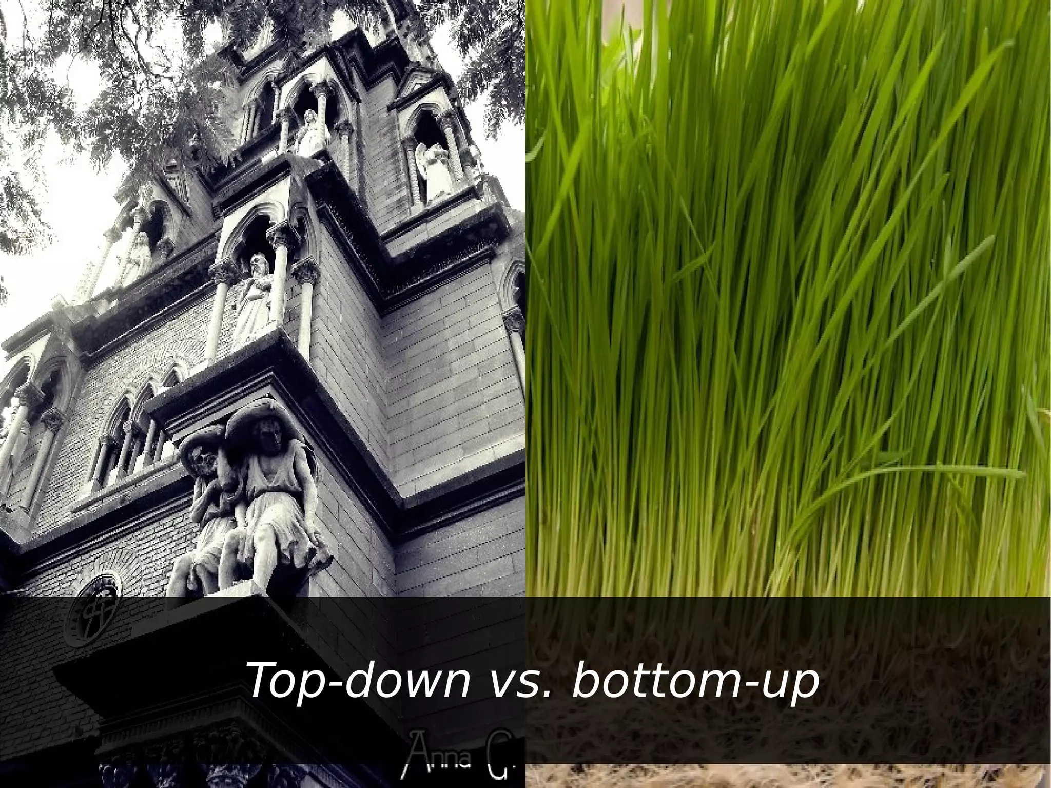 Top-down vs. bottom-up
 