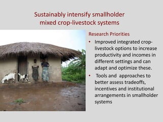 Livestock research priorities for Africa (CAADP Pillar 4)