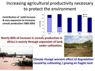Livestock research priorities for Africa (CAADP Pillar 4)