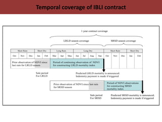 Protecting Pastoralists from the Risk of  Drought Related Livestock Mortality: Implementing Index Based Livestock Insurance in Northern Kenya