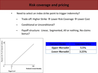 Protecting Pastoralists from the Risk of  Drought Related Livestock Mortality: Implementing Index Based Livestock Insurance in Northern Kenya