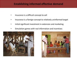 Protecting Pastoralists from the Risk of  Drought Related Livestock Mortality: Implementing Index Based Livestock Insurance in Northern Kenya