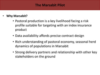 Protecting Pastoralists from the Risk of  Drought Related Livestock Mortality: Implementing Index Based Livestock Insurance in Northern Kenya