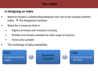 Protecting Pastoralists from the Risk of  Drought Related Livestock Mortality: Implementing Index Based Livestock Insurance in Northern Kenya
