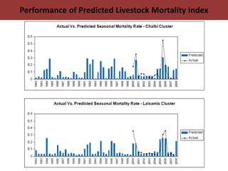 Protecting Pastoralists from the Risk of  Drought Related Livestock Mortality: Implementing Index Based Livestock Insurance in Northern Kenya