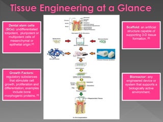 Dental stem cells
(SCs): undifferentiated
totipotent, pluripotent or
multipotent cells of
mesenchymal or
epithelial origin.[4]

Growth Factors:
regulatory substances
that stimulate cell
growth, proliferation and
differentiation; examples
include bone
morphogenic proteins. [5]

Scaffold: an artificial
structure capable of
supporting 3-D tissue
formation. [6]

Bioreactor: any
engineered device or
system that supports a
biologically active
environment.

 