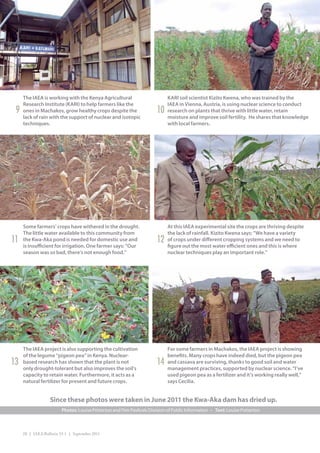 The IAEA is working with the Kenya Agricultural                         KARI soil scientist Kizito Kwena, who was trained by the
     Research Institute (KARI) to help farmers like the                      IAEA in Vienna, Austria, is using nuclear science to conduct
 9   ones in Machakos, grow healthy crops despite the                   10   research on plants that thrive with little water, retain
     lack of rain with the support of nuclear and isotopic                   moisture and improve soil fertility. He shares that knowledge
     techniques.                                                             with local farmers.




     Some farmers’ crops have withered in the drought.                       At this IAEA experimental site the crops are thriving despite
     The little water available to this community from                       the lack of rainfall. Kizito Kwena says: “We have a variety
11   the Kwa-Aka pond is needed for domestic use and                    12   of crops under different cropping systems and we need to
     is insufficient for irrigation. One farmer says: “Our                   figure out the most water efficient ones and this is where
     season was so bad, there’s not enough food.”                            nuclear techniques play an important role.”




     The IAEA project is also supporting the cultivation                     For some farmers in Machakos, the IAEA project is showing
     of the legume “pigeon pea” in Kenya. Nuclear-                           benefits. Many crops have indeed died, but the pigeon pea
13   based research has shown that the plant is not                     14   and cassava are surviving, thanks to good soil and water
     only drought-tolerant but also improves the soil’s                      management practices, supported by nuclear science. “I’ve
     capacity to retain water. Furthermore, it acts as a                     used pigeon pea as a fertilizer and it’s working really well,”
     natural fertilizer for present and future crops.                        says Cecilia.


                   Since these photos were taken in June 2011 the Kwa-Aka dam has dried up.
                         Photos: Louise Potterton and Petr Pavlicek/Division of Public Information • Text: Louise Potterton



     28 | IAEA Bulletin 53-1 | September 2011
 