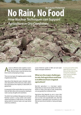 by Louise Potterton


     No Rain, No Food
      How Nuclear Techniques can Support
      Agriculture in Dry Conditions




A
        ccess to sufficient water supplies is essen-     Louise Potterton spoke to IAEA soil and water             In many parts of the world,
        tial for successful and sustainable farm-        expert, Karuppan Sakadevan.                               either too much or too
        ing.  Without water, crops die, farmers lose                                                               little rain falls, often at the
their income and people go hungry.                                                                                 wrong time, leading to
                                                                                                                   water scarcity, droughts
There are two types of cropping systems namely
                                                         What are the major challenges                             and crop failure.
irrigated and rain-fed.                                  to rain-fed agriculture and how                           (Photo: P. Pavlicek/IAEA)

                                                         is it different from irrigated
Agriculture that depends upon rainwater repre-
sents about 80 % of the total area under cultiva-        agriculture?
tion and produces the majority, or about 60%, of
global food.                                             Rain-fed agriculture is a low-input system.
                                                         Depending on total annual rainfall and its distri-
In many parts of the world, either too much or too       bution as well as the type of soils, productivity
little rain falls, often at the wrong time, leading to   can vary greatly from moderate to low.
water scarcity, droughts and crop failure.
                                                         Agriculture that depends on rain is more risky
The IAEA’s Soil and Water Management and Crop            with the possibility of crop failures in drier areas
Nutrition section is using nuclear and nuclear-          due to erratic and unpredictable rains. Rain-fed
related techniques to help farmers in the devel-         agriculture is generally more successful on soils
oping world to conserve water and cope better            that can store a lot of rainfall (i.e. loamy and clayey
under dry conditions.                                    soils).




                                                                                                 IAEA Bulletin 53-1 | September 2011 | 29
 