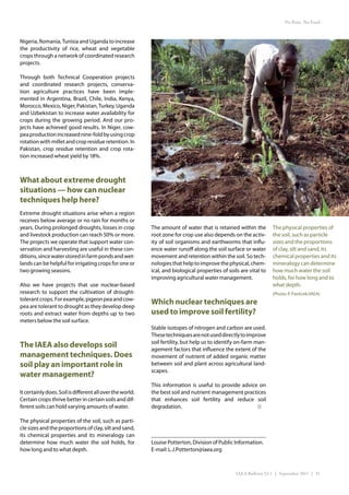 No Rain, No Food



Nigeria, Romania, Tunisia and Uganda to increase
the productivity of rice, wheat and vegetable
crops through a network of coordinated research
projects.

Through both Technical Cooperation projects
and coordinated research projects, conserva-
tion agriculture practices have been imple-
mented in Argentina, Brazil, Chile, India, Kenya,
Morocco, Mexico, Niger, Pakistan, Turkey, Uganda
and Uzbekistan to increase water availability for
crops during the growing period. And our pro-
jects have achieved good results. In Niger, cow-
pea production increased nine-fold by using crop
rotation with millet and crop residue retention. In
Pakistan, crop residue retention and crop rota-
tion increased wheat yield by 18%.



What about extreme drought
situations — how can nuclear
techniques help here?
Extreme drought situations arise when a region
receives below average or no rain for months or
years. During prolonged droughts, losses in crop           The amount of water that is retained within the         The physical properties of
and livestock production can reach 50% or more.            root zone for crop use also depends on the activ-       the soil, such as particle
The projects we operate that support water con-            ity of soil organisms and earthworms that influ-        sizes and the proportions
servation and harvesting are useful in these con-          ence water runoff along the soil surface or water       of clay, silt and sand, its
ditions, since water stored in farm ponds and wet-         movement and retention within the soil. So tech-        chemical properties and its
lands can be helpful for irrigating crops for one or       nologies that help to improve the physical, chem-       mineralogy can determine
two growing seasons.                                       ical, and biological properties of soils are vital to   how much water the soil
                                                           improving agricultural water management.                holds, for how long and to
Also we have projects that use nuclear-based                                                                       what depth.
research to support the cultivation of drought-                                                                    (Photo: P. Pavlicek/IAEA)
tolerant crops. For example, pigeon pea and cow-
pea are tolerant to drought as they develop deep
                                                           Which nuclear techniques are
roots and extract water from depths up to two              used to improve soil fertility?
meters below the soil surface.
                                                           Stable isotopes of nitrogen and carbon are used.
                                                           These techniques are not used directly to improve
                                                           soil fertility, but help us to identify on-farm man-
The IAEA also develops soil                                agement factors that influence the extent of the
management techniques. Does                                movement of nutrient of added organic matter
soil play an important role in                             between soil and plant across agricultural land-
                                                           scapes.
water management?
                                                           This information is useful to provide advice on
It certainly does. Soil is different all over the world.   the best soil and nutrient management practices
Certain crops thrive better in certain soils and dif-      that enhances soil fertility and reduce soil
ferent soils can hold varying amounts of water.            degradation.

The physical properties of the soil, such as parti-
cle sizes and the proportions of clay, silt and sand,
its chemical properties and its mineralogy can
determine how much water the soil holds, for               Louise Potterton, Division of Public Information.
how long and to what depth.                                E-mail: L.J.Potterton@iaea.org



                                                                                                  IAEA Bulletin 53-1 | September 2011 | 31
 