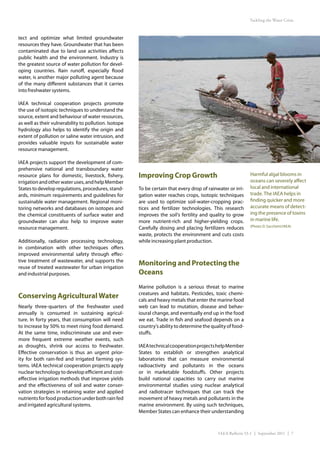 Tackling the Water Crisis



tect and optimize what limited groundwater
resources they have. Groundwater that has been
contaminated due to land use activities affects
public health and the environment. Industry is
the greatest source of water pollution for devel-
oping countries. Rain runoff, especially flood
water, is another major polluting agent because
of the many different substances that it carries
into freshwater systems.

IAEA technical cooperation projects promote
the use of isotopic techniques to understand the
source, extent and behaviour of water resources,
as well as their vulnerability to pollution. Isotope
hydrology also helps to identify the origin and
extent of pollution or saline water intrusion, and
provides valuable inputs for sustainable water
resource management.

IAEA projects support the development of com-
prehensive national and transboundary water
resource plans for domestic, livestock, fishery,       Improving Crop Growth                                 Harmful algal blooms in
irrigation and other water uses, and help Member                                                             oceans can severely affect
States to develop regulations, procedures, stand-      To be certain that every drop of rainwater or irri-   local and international
ards, minimum requirements and guidelines for          gation water reaches crops, isotopic techniques       trade. The IAEA helps in
sustainable water management. Regional moni-           are used to optimize soil-water-cropping prac-        finding quicker and more
toring networks and databases on isotopes and          tices and fertilizer technologies. This research      accurate means of detect-
the chemical constituents of surface water and         improves the soil’s fertility and quality to grow     ing the presence of toxins
groundwater can also help to improve water             more nutrient-rich and higher-yielding crops.         in marine life.
                                                                                                             (Photo: D. Sacchetti/IAEA)
resource management.                                   Carefully dosing and placing fertilizers reduces
                                                       waste, protects the environment and cuts costs
Additionally, radiation processing technology,         while increasing plant production.
in combination with other techniques offers
improved environmental safety through effec-
tive treatment of wastewater, and supports the
reuse of treated wastewater for urban irrigation
                                                       Monitoring and Protecting the
and industrial purposes.                               Oceans
                                                       Marine pollution is a serious threat to marine
                                                       creatures and habitats. Pesticides, toxic chemi-
Conserving Agricultural Water                          cals and heavy metals that enter the marine food
Nearly three-quarters of the freshwater used           web can lead to mutation, disease and behav-
annually is consumed in sustaining agricul-            ioural change, and eventually end up in the food
ture. In forty years, that consumption will need       we eat. Trade in fish and seafood depends on a
to increase by 50% to meet rising food demand.         country’s ability to determine the quality of food-
At the same time, indiscriminate use and ever-         stuffs.
more frequent extreme weather events, such
as droughts, shrink our access to freshwater.          IAEA technical cooperation projects help Member
Effective conservation is thus an urgent prior-        States to establish or strengthen analytical
ity for both rain-fed and irrigated farming sys-       laboratories that can measure environmental
tems. IAEA technical cooperation projects apply        radioactivity and pollutants in the oceans
nuclear technology to develop efficient and cost-      or in marketable foodstuffs. Other projects
effective irrigation methods that improve yields       build national capacities to carry out marine
and the effectiveness of soil and water conser-        environmental studies using nuclear analytical
vation strategies in retaining water and applied       and radiotracer techniques that can track the
nutrients for food production under both rain fed      movement of heavy metals and pollutants in the
and irrigated agricultural systems.                    marine environment. By using such techniques,
                                                       Member States can enhance their understanding



                                                                                             IAEA Bulletin 53-1 | September 2011 | 7
 
