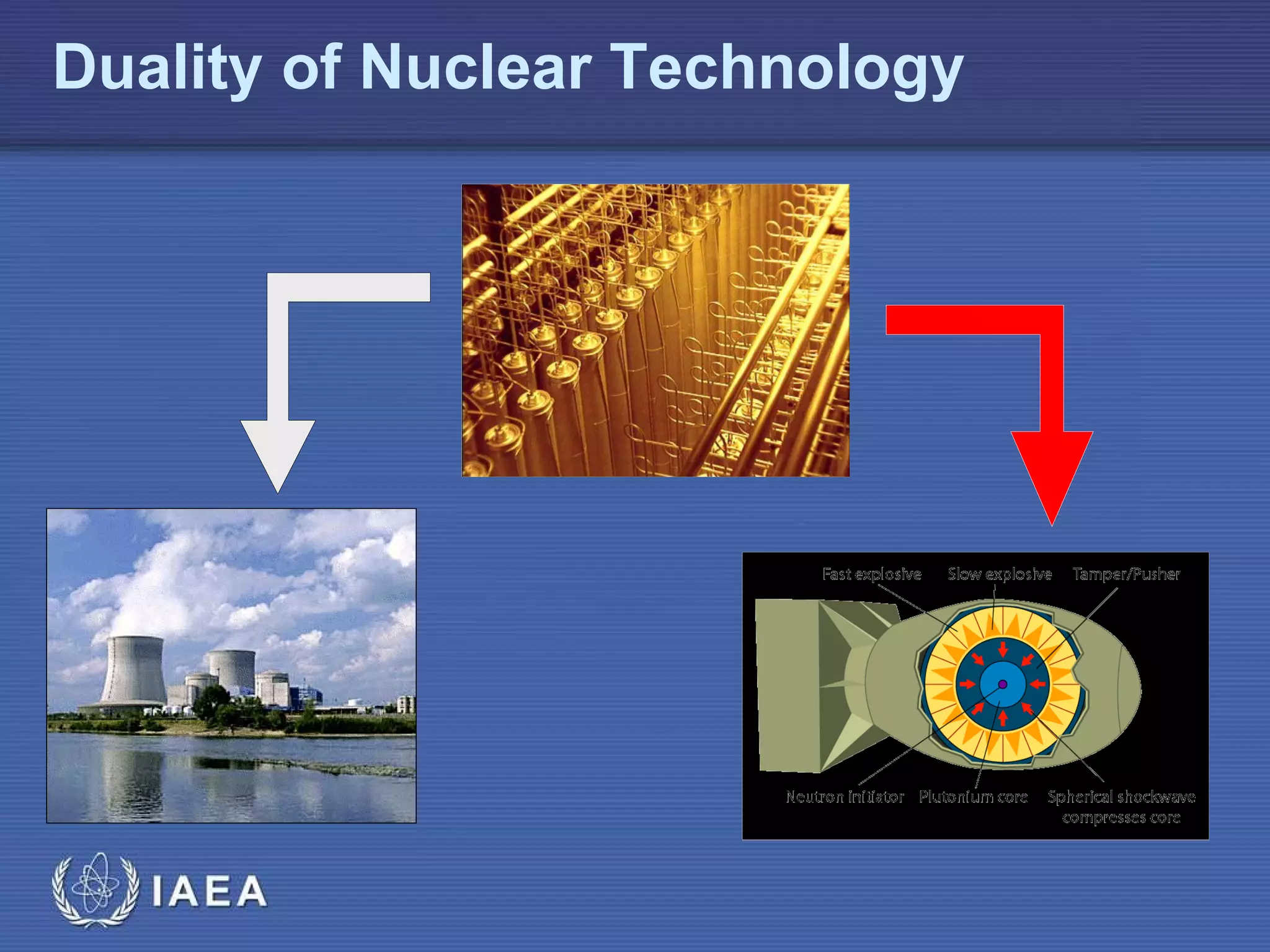 Duality of Nuclear Technology 