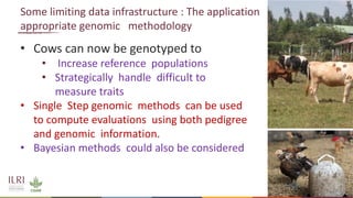 Application of nuclear and genomic technologies for improving livestock productivity in developing world: Challenges and opportunities 