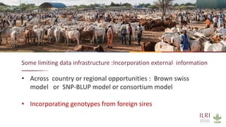 Application of nuclear and genomic technologies for improving livestock productivity in developing world: Challenges and opportunities 
