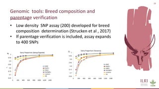 Application of nuclear and genomic technologies for improving livestock productivity in developing world: Challenges and opportunities 