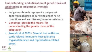 Application of nuclear and genomic technologies for improving livestock productivity in developing world: Challenges and opportunities 