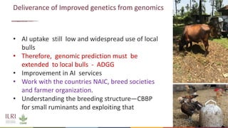 Application of nuclear and genomic technologies for improving livestock productivity in developing world: Challenges and opportunities 
