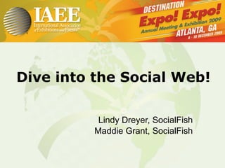 Dive into the Social Web! Lindy Dreyer, SocialFish Maddie Grant, SocialFish 