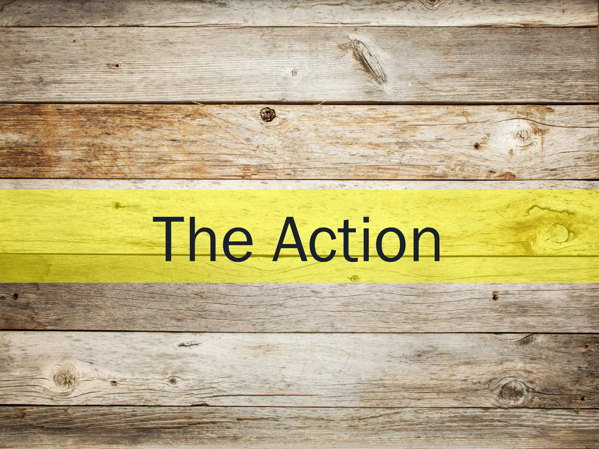 19Bear Analytics: Confidential Materials
The Action
 