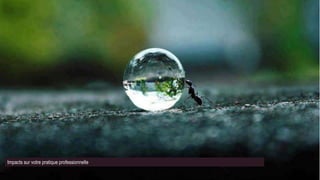 Impacts sur votre pratique professionnelle
 