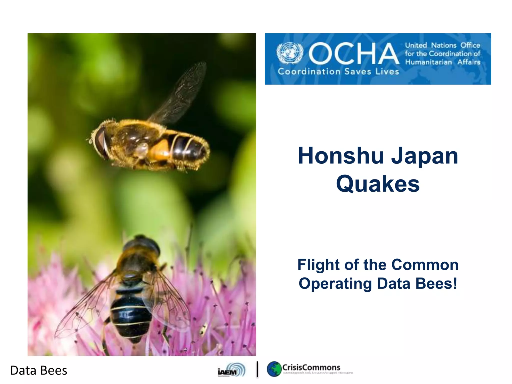 Honshu Japan
              Quakes


            Flight of the Common
            Operating Data Bees!




Data Bees
 