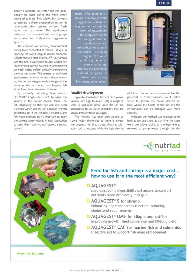 Oxygenation technology poised to transform aquaculture worldwide PDF