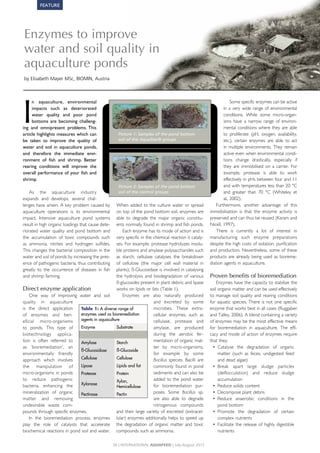 Enzymes to improve water and soil quality in aquaculture ponds | PDF