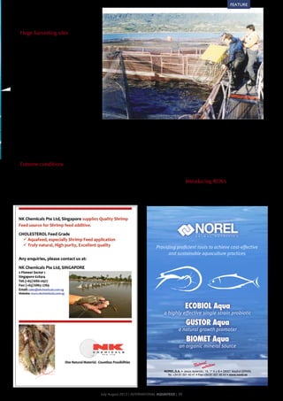 FEATURE
                                                                                                                                                  EXPERT	T●PIC
   and	the	moorings	had	to	be	stronger	accord-
project	included	four	tilapia	farms	in	China.	These	 identify	the	key	problems	and	causes	related	to	 in	April,	2011.	Over	40	farmers,	processors,	tech-
   ing	to	the	stress	of	wind,	waves	and	currents.	
farms	 represented	 both	 small-	 and	 commercial- water	management.	                                             nicians	 and	 government	 officers	 attended	 the	
scale	 production	 facilities	 sites two	 different	
   Huge harvesting utilising	                                 The	 second	 project	 is	 an	 assessment	 of	 the	 workshop.	 Participants	 found	 the	 workshop	 very	
production	systems	(pond	and	cages).	Aside	from	 regional	environmental	impacts	of	fish	farm	clusters,	 informative	and	helpful.	This	enhanced	the	produc-
        The	difference	in	Chile	is	that	the	harvest-
identifying	similarities	and	differences	among	criteria	 which	will	be	jointly	conducted	by	SFP	and	Hainan	 ers’	awareness	of	increasing	demands	for	certified	
   ing	sites	are	far	bigger	than	anywhere	else	in	
and	 requirements	 used	 by	 the	 three	 standards,	 Research	Academy	of	Environmental	Sciences,	the	 sustainable	 seafood	 from	 overseas	 markets,	 thus	
   the	world.	With	nets	of	50	m	in	diameter	and	
this	project	also	identified	outstanding	issues	in	the	 leading	environmental	research	institute	in	Hainan.	 further	 facilitating	 the	 engagement	 of	 Chinese	
   up	to	40	–	45	m	deep,	the	amount	of	salmon	
   per	 cage	 reached	 150	 –	 200	 tonnes	 and	 The	study	will	examine	the	potential	for	regional	 stakeholders	 into	 a	 supply-chain	 dialogue	 around	
farms,	which	most	producers	were	able	to	address	
as	a	result	of	the	trial	audit.	To	date,	all	four	farms	 scale	improvement	by	looking	at	carrying	capacity	 sustainability.	
   more.	 The	 biggest	 production	 sites	 had	 up	
are	now	certified	under	one	or	more	of	the	com- and	the	potential	for	zoning	in	a	specific	area.
   to	36	such	cages	per	module	and	sometimes	                                                                         SFP	is	currently	working	with	local	institutes	of	
mercial	aquaculture	standards. These	 huge	 sites	 As	 more	 first-hand	 data	 becomes	 available	 aquaculture	and	environmental	sciences	to	identify	
   three	 modules	 in	 parallel.	
   had	 to	widely	 acknowledged	 for	weights	 of	 up	 (along	 with	 a	 more	 in-depth	 understanding	 of	 and	 evaluate	 both	 qualitatively	 and	 quantitatively	
     SFP	 is	 be	 moored	 with	 dead	 its	 expertise	
   to	20	tonnes	each,	sometimes	with	more	than	 existing	 policies	 and	 management	 measures),	 the	 the	 environmental	 impacts	 of	 tilapia	 farming	 in	
by	 stakeholders	 in	 Chinese	 tilapia,	 including	 key	
US	and	European	buyers	and	retailers,	as	well	as	 AIP	will	establish	a	working	group	that	convenes	 Hainan.	This	includes	an	ecological	study	as	well	as	
   700	tonnes	of	weight	for	each	site.	The	deep	
   fjords	combined	with	strong	currents	and	the	 the	key	buyers,	suppliers	and	producers	along	the	 socio-political	analysis	to	advise	local	governments	
producers	 and	 processors	 in	 China,	 aquaculture	
institutes,	 industry	 associations,	 and	 local	 Chinese	 Chinese	tilapia	supply-chain	to	share	the	scientific	 and	industrial	associations	about	how	to	efficiently	
   action	of	waves	made	completely	new	moor-
governments.	Given	the	high	level	of	trust	that	SFP	 findings.	The	AIP	will	then	form	a	multi-stakeholder	 address	 the	 environmental	 issues	 associated	 with	
   ing	 designs	 necessary.	 Problems	 arose,	 since	
enjoys	with	the	tilapia	supply	chain	it	was	appropri- policy	roundtable	to	further	discuss	the	problems	 tilapia	farming	in	Hainan.	The	preliminary	results	will	
   often	the	more	than	1	km	long	mooring	lines	
ate	that	a	tilapia	Aquaculture	Improvement	Project	 and	solutions.	The	AIP	participants	will	eventually	 be	shared	with	key	stakeholders	at	the	Aquaculture	
   crossed	each	other	during	installation	and	suf-
   fered	damage	during	the	operation.	Accidents	 agree	on	the	actions	and	timetables	necessary	to	 Policy	Roundtable	this	fall	in	China.	
(AIP)	was	officially	launched	in	2011.                       in	 order	 to	 complete	 their	 diet.	 Therefore	 have	to	fight	day	in	day	out	with	the	extreme	
   with	total	or	partial	loss	of	harvesting	sites	and	 achieve	 the	 sustainability	 objectives	 defined	 by	
     SFP	has	now	initiated	two	research	projects	            salmon	farmers	need	to	protect	the	net	cages	 area	 is	 also	 developing	 in.	 In	 comparison,	
                                                                                                                      SFP	 they	 are	 located	 partnerships	 with	
to	millions	of	dollars	in	fish	loss	resulted	from	a	 the	group.	SFP	will	play	a	leading	role	in	engaging	 Chinese	universities	and	large	feed	manufacturers	 is	
     assess	 the	 impact	 of	 tilapia	 farming	 on	 the	     with	 special	 sea	 lion	 nets	 that	 involve	 the	 the	 maximum	 current	 velocity	 in	 Norway	
external	environment.	The	first	project,	started	 stakeholders,	providing	scientific	advice	and	facilitat- to	around	 0.5	 knots	 in	 salmon	 producing	 areas.	
   lack	of	inspection	of	the	underwater	environ- original	nets.	                                                      improve	 feed	 sourcing	 for	 tilapia	 farming	 in	
in	April	2011,	involves	monitoring	water	qual- ing	communication.
   ment	and	installations.                                                                                           Extreme	 weather	 conditions	 with	 very	 fast	
                                                                 To	complete	the	image	before	we	look	at	 China.	 This	 work	 is	 to	 be	 undertaken	 through	
ity	 on	 selected	 farms	 in	 Hainan	 province,	 and	        the	 ROVs	 in	 this	 context,	 a	 couple	 of	 other	 research	 projects	 on	 improving	lot	 of	 ocean	 and	
                                                                                                                     changing	 winds	 (there	 is	 a	 feeding	 efficien-
   Extreme conditions
was	 undertaken	 by	 the	 Hainan	 Institute	 of	 Up-to-date progress
                                                             aspects	have	to	be	explained.	The	harvesting	 cy	very	 few	 land	 masses	 at	 these	 latitudes)	 are	
                                                                                                                      and	 developing	 alternative	 feeds	 with	 fewer	
Aquaculture.	 Dozens	 of	 water	 quality	 param-
        Since	this	harvesting	happens	in	Patagonia,	 SFP	has	worked	closely	with	local	tilapia	associa-              just	another	problem	of	working	in	this	area.
                                                             sites	 are	 all	 located	 in	 relatively	 protected	 impacts	on	wild	fisheries.
   there	are	some	peculiarities	related	with	this	 inshore	waters,	not	in	the	open	Pacific	Ocean.	
eters	such	as	chemical	oxygen	demand	(COD),	 tions	 to	 assess	 different	 tilapia	 standards	 that	 are	
nitrogen	 and	 phosphorus	 content,	 and	 heavy	 available	 in	 the	 market.	 A	 workshop	 all	 but	 calm.	 More InforMatIon: ROVs
   region	at	the	world’s	end:	in	this	case	the	sea	 Nevertheless,	 these	 waters	 are	 introducing	                  Introducing
metals	 were	 analysed	 for	 five	 farms	 over	 two	 three	international	standards	for	tilapia	farming,	i.e.	 Sustainable Fisheries Partnership started	 to	 ask	 for	
   lions.	These	predators	find	it	most	interesting	 With	currents	of	up	to	five	knots	and	depth	                         Insurance	 companies	
croppings	 (10	 months).	 The	 study	 helped	 BAP,	 GlobalGAP,	 and	 ASC,	 was	 held	 in	 Haikou	 Website: www.sustainablefish.org sites	 were	 moored	
   to	 attack	 the	 cages	 filled	 up	 with	 salmons	 over	 500	 m,	 salmon	 producing	 companies	 better	 control	 after	 the	




                                                                                               Providing proficient tools to achieve cost-effective
                                                                                                     and sustainable aquaculture practices




                                                                                                                   ECOBIOL Aqua
                                                                                                    a highly effective single strain probiotic
                                                                                                                   GUSTOR Aqua
                                                                                                              a natural growth promoter
                                                                                                                    BIOMET Aqua
                                                                                                               an organic mineral source


                                                                                                                              rl
                                                                                                                          Natuna trition
                                                                                                                               u
                                                                                                    NOREL,S.A. • Jesús Aprendiz, 19, 1º A y B • 28007 Madrid (SPAIN)
                                                                                                      Tel. +34 91 501 40 41 • Fax +34 91 501 46 44 • www.norel.es




                                                         July-August 2012 | InternAtIonAl AquAFeed | 39
 