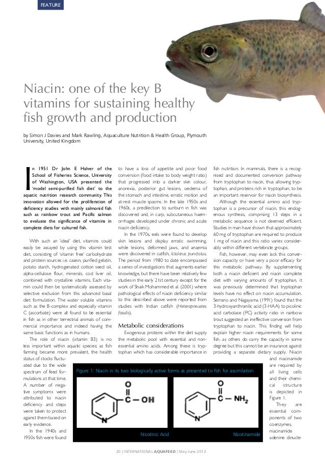 Niacin One Of The Key B Vitamins For Sustaining Healthy Fish Growth