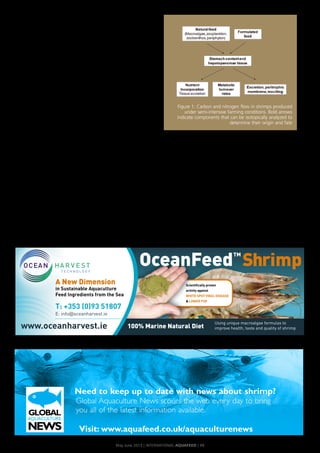 trophic	level	(primary	producers,	herbivores,	
carnivores).	
In	the	case	of	plants	and	macroalgae,	their	
carbon	isotope	values	are	strongly	influenced	
by	 the	 type	 of	 photosynthesis	 they	 present.	
On	 the	 other	 hand,	 the	 nitrogen	 stable	 iso-
tope	values	of	plants	and	macroalgae	can	be	
easily	manipulated	by	means	of	specific	fertilis-
ers,	to	eventually	conduct	nutritional	studies.	
By	using	such	techniques,	it	can	be	possible	
to	 determine	 the	 proportions	 of	 available	
dietary	 nutrients	 that	 have	 been	 selected,	
ingested	 and	 incorporated	 into	 animal	 tis-
sue	 (Figure	 1).	 As	 the	 average	 sample	 size	
required	 for	 stable	 isotope	 analysis	 (carbon	
and	 nitrogen)	 is	 only	 1	 mg	 of	 dry	 tissue	 or	
test	diet,	the	technique	has	been	very	useful	in	
larval	nutrition	studies.	It	has	been	employed	
to	quantify	the	proportions	of	nutrients	incor-
porated	from	live	and	formulated	feeds	in	fish	
and	crustacean	larvae.	
Likewise,	 stable	 isotope	 analyses	 of	 dif-
ferent	 plant-derived	 ingredients	 (soy	 protein	
isolate,	corn	gluten	and	pea	meal)	have	been	
carried	out	to	explore	the	contribution	of	the	
dietary	nitrogen	supplied	by	these	sources	(as	
compared	to	fish	meal)	to	shrimp	growth.	In	
the	context	of	macroalgae	as	source	of	nutri-
ents,	 isotopic	 techniques	 have	 been	 applied	
as	 nutritional	 tools	 to	 quantify	 the	 relative	
contributions	of	dietary	carbon	and	nitrogen	
to	the	growth	of	Pacific	white	shrimp	co-fed	
formulated	feed	and	live	macroalgal	biomass	
of	U. clathrata.	
Experimental
design
Taking	 advantage	
of	 the	 contrast-
ing	 natural	 carbon	
and	 nitrogen	 stable	
isotope	values	meas-
ured	in	a	commercial	
formulated	 feed	 and	
in	live	macroalgal	bio-
mass	 of	 U. clathrata,	
the	 study	 aimed	 to	
quantify	 the	 relative	
contribution	of	nutri-
ents	to	the	growth	of	
Pacific	 white	 shrimp.	
Animals	were	allocat-
ed	to	duplicate	tanks	
individually	fitted	with	air	lifts	and	connected	
to	an	artificial-seawater	recirculation	system.	
Feeding	 regimes	 consisted	 of	 a	 positive	
isotopic	 control	 (100%	 formulated	 feed,	
treatment	100F),	a	negative	isotopic	control	
(100%	 macroalgae,	 treatment	 100U)	 and	
three	 co-feeding	 regimes	 in	 which	 75,	 50,	
and	25	percent	of	the	daily	amount	of	con-
sumed	 macroalgal	 biomass	 was	 substituted	
by	 formulated	 feed	 (treatments	 75F/25U,	
50F/50U,	 and	 25F/75U,	 respectively)	 on	 a	
dry	weight	basis.	
The	digestibility	of	both	feeding	sourc-
es	 for	 L. vannamei	 has	 been	 previously	
assessed	 and	 is	 similarly	 high	 (>80%).	
Live	 macroalgae	 was	 supplied	 to	 shrimp	
by	 attaching	 the	 algal	 biomass	 to	 plastic	
mesh	units	from	which	the	algal	filaments	
were	constantly	available	and	easily	nibbled	
upon	by	shrimp.	
Feeding	rations	and	proportions	were	pro-
gressively	adjusted	in	relation	to	the	amount	
of	macroalgal	biomass	consumed,	animal	sur-
vival	 and	 sampling.	 Shrimp	 samples	 (whole	
bodies	 and	 muscle	 tissue)	 and	 diet	 samples	
were	 collected	 and	 pre-treated	 for	 isotopic	
analysis.
Growth and survival
There	 was	 a	 high	 variability	 in	 final	 wet	
Figure 1: Carbon and nitrogen flow in shrimps produced
under semi-intensive farming conditions. Bold arrows
indicate components that can be isotopically analyzed to
determine their origin and fate
May-June 2013 | InternatIonal AquAFeed | 49
EXPERT	T●PIC
Using unique macroalgae formulas to
improve health, taste and quality of shrimp100% Marine Natural Diet
A New Dimension
in Sustainable Aquaculture
Feed Ingredients from the Sea
T: +353 (0)93 51807
E: info@oceanharvest.ie
Scientifically proven
activity against
whITe SpoT vIrAl dISeASe
& lower FCr
Need to keep up to date with news about shrimp?
Global	Aquaculture	News	scours	the	web	every	day	to	bring	
you	all	of	the	latest	information	available.	
Visit: www.aquafeed.co.uk/aquaculturenews
 