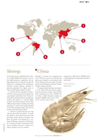Shrimp
Farmed	shrimp	was	a	$US10.6	billion	indus-
try	 in	 2005	 (WWF).	The	 species	 is	 one	 of	
the	 fastest	 growing	 in	 aquaculture	 with	 an	
approximate	rate	of	10	percent	annually.	The	
production	 of	 whiteleg	 shrimp	 (Litopenaeus	
vannamei,	 formerly	 Penaeus	 vannamei)	 in	
particular,	 generated	 the	 highest	 value	 of	
major	cultured	species	at	$US11.3	billion.
L. vannamei	was	first	cultivated	in	Florida	in	
1973	from	larvae	spawned	and	shipped	from	
a	wild-caught	mated	female	from	Panama.	In	
1976,	due	to	good	pond	results	and	adequate	
nutrition,	 the	 culture	 of	 L. vannamei	 began	
in	 South	 and	 Central	 America.	 By	 the	 early	
1980s,	through	intensive	breeding	and	rearing	
techniques,	L. vannamei	was	being	developed	
in	the	USA	(including	Hawaii),	and	much	of	
Central	and	South	America	(FAO).	
L. vannamei	is	popular	because	of	its	high	
yield	and	short	grow	out	period.		The	yield	
per	hectare	is	up	to	three	times	that	of	the	
giant	 tiger	 shrimp	 (Penaeus monodon).	 The	
grow	 out	 period	 is	 also	 shorter	 for	 L. van-
namei,	60-90	days,	compared	to	90-120	days	
for	P. monodon.	Overall,	it	costs	about	half	as	
much	to	produce	a	kilo	of	L. vannamei	as	it	
does	to	produce	a	kilo	of	P. monodon.
1
China
Although,	 L. vannamei	 was	 introduced	 into	
Asia	in	1978-9,	it	was	not	until	1996	that	the	
species	was	cultivated	on	a	commercial	scale.	
First	in	Mainland	China	and	Taiwan	and	subse-
quently	to	the	Philippines,	Indonesia,	Vietnam,	
Thailand,	Malaysia	and	India.	
The	largest	seafood	producer	and	export-
er	in	the	world,	China	also	boasts	a	large	L.
vannamei	production	industry,	with	Mainland	
China	 producing	 more	 than	 270,000	 met-
ric	 tonnes	 in	 2002.	 Production	 reached	 an	
estimated	300,000	metric	tonnes	(71%	
of	 the	 country’s	 total	 shrimp	
production)	in	2003	and	hit	700,000	tonnes	
in	2004	(Network	of	Aquaculture	Centres	in	
Asia-Pacific).	
More InforMatIon:
www.enaca.org
byMarnieSnell
May-June 2013 | InternatIonal AquAFeed | 43
EXPERT	T●PIC
3
1
4
5
2
6
 