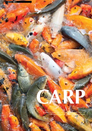 EXPERT	T●PIC

EXPERT TOPIC

CARP
Welcome to Expert Topic. Each issue will take an in-depth look
at a particular species and how its feed is managed.

42 | INterNatIoNal AquAFeed | November-December 2013

 
