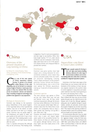 EXPERT	T●PIC

3

1

2

is deglutition. Carp fry mainly eat zooplankton,
and later begin to eat benthos. When their
body length reaches 7-17 cm, under natural
conditions carp eat crustaceans, insect larvae,
algae, plant tissue and so on. In the aquaculture industry farmers use compound feeds to
provide their nutrition.

1

China

Overview of the
present situation of
carp farming in China

Distribution

by Wang Xin, Song Zhigang, Yang
Yong, Guangzhou Hinter Biotechnology,
Guangdong, China

C

arp	 is	 one	 of	 the	 main	 species	
of	 China's	 aquaculture	 industry,	
forming	 13	 percent	 of	 its	 farmed	
fish	 output.	 Because	 of	 their	 wide	
adaptability,	 carp	can	be	farmed	in	an	extensive	
variety	of	regions.	However,	in	recent	years	their	
quality	 in	 China	 has	 declined.	 With	 the	 blind	
pursuit	 of	 production	 volumes	 and	 backward	
steps	in	breeding	management	technology,	many	
problems	have	appeared	in	carp	aquaculture.	

Biological characteristics
Common carp belongs to the taxonomic
group Osteichthyes of the animal kingdom,
in the Cyprinidae family of the Cypriniformes
subclass. Carp live at the bottom of water
bodies, and tend to stir them up in foraging
activity. Common carp can quickly adapt to
the temperature and quality of water, and
grow quickly at the same time (1 kg or more
in a single year). Their breeding season is early
April to early June, and reach sexual maturity
after two years.
Carp is a typically omnivorous fish, although
they can be carnivorous. Their feeding mode

Common carp grow quickly, have high
output and a strong tolerance for environmental conditions, which means they
can be cultivated widely from the northern provinces Heilongjiang, Liaoning,
Tianjin, Hebei and Shanxi, to the southern
provinces Yunnan, Sichuan and Guizhou.
As mentioned above, carp is one of the
main species for Chinese aquaculture,
making up 13 percent of total production
volume.

Common species
The most common carp species in China
are Jian carp, Yellow River carp, red carp
and German mirror carp. All have similar
nutritional requirements although fish farmers
must bear certain differences in mind. German
mirror carp typically exhibit higher feed conversation ratios than the Yellow River or Jian
varities, and consequently tend to enjoy a
faster growth rate (reaching 1.25 kg after a
year, rather than 1 kg).
However, the disease resistance of German
mirror carp is poor, and require higher
water quality to be successfully farmed. For
these reasons, all three are viable aquaculture species, although German mirror carp
enjoy higher and more stable prices in the
marketplace.

2

USA

Aquaculture carp threat
to Great Lakes wildlife

T

hough	a	popular	species	for	farming	in	
their	own	right,	 carp’s	bottom-dwelling	
behaviour,	tolerance	of	a	wide	range	of	
environmental	conditions	and	omnivorous	feeding	habits	also	makes	them	an	attractive	
candidate	for	integrated	aquaculture	systems.
Authorities in the Great Lakes region of the
United States are now having to deal with the
drawbacks of this hardiness, as Asian carp species originally imported to the southern states
to control vegetation in aquaculture and wastewater treatment have been found spawning as
far north as the Sandusky River in Ohio.
It is a well-established fact that the Mississippi
River is infested with Asian carp, and one of those
species, the grass carp, has made the jump to the
tributary river of Lake Erie. Although vegetationeating grass carp do significant damage to aquatic
habitats, scientists are particularly worried about
the prospect of bighead carp and silver carp joining
them. They require similar spawning conditions to
the species already in place, but as plankton feeders
will out-compete and out-breed native fish.
US environmental official John Goss has called
for the renewal of the administration’s US$200 million “aggressive strategy” to keep the Great Lakes
free of the invasive species. Given the threat to the
US$7 billion sports fishing industry and US$234
million commercial fishery in both the USA and
Canada, it’s time to cut the carp.

November-December 2013 | INterNatIoNal AquAFeed | 43

 