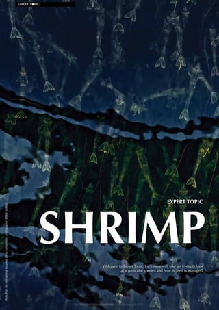 PhotofromtheInternationalAquafeedphotocompetition-photographer:©MatiNitibhon
36 | INTERNATIONAL AQUAFEED | January-February 2015
EXPERT T●PIC
Welcome to Expert Topic. Each issue will take an in-depth look
at a particular species and how its feed is managed.
SHRIMP
EXPERT TOPIC
 