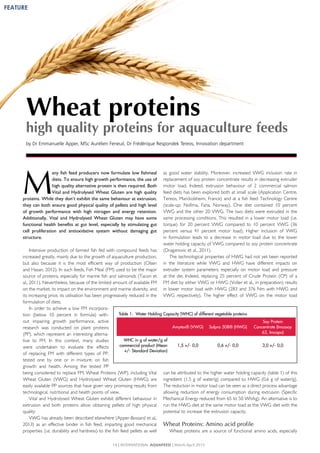 Wheat proteins
high quality proteins for aquaculture feeds
by Dr Emmanuelle Apper, MSc Aurélien Feneuil, Dr Frédérique Respondek Tereos, Innovation department
M
any fish feed producers now formulate low fishmeal
diets. To ensure high growth performance, the use of
high quality alternative protein is then required. Both
Vital and Hydrolysed Wheat Gluten are high quality
proteins. While they don’t exhibit the same behaviour at extrusion,
they can both ensure good physical quality of pellets and high level
of growth performance with high nitrogen and energy retention.
Additionally, Vital and Hydrolysed Wheat Gluten may have some
functional health benefits at gut level, especially by stimulating gut
cell proliferation and antioxidative system without damaging gut
structure.
Intensive production of farmed fish fed with compound feeds has
increased greatly, mainly due to the growth of aquaculture production,
but also because it is the most efficient way of production (Olsen
and Hasan, 2012). In such feeds, Fish Meal (FM) used to be the major
source of proteins, especially for marine fish and salmonids (Tacon et
al., 2011). Nevertheless, because of the limited amount of available FM
on the market, its impact on the environment and marine diversity, and
its increasing price, its utilisation has been progressively reduced in the
formulation of diets.
In order to achieve a low FM incorpora-
tion (below 10 percent in formula) with-
out impairing growth performance, active
research was conducted on plant proteins
(PP), which represent an interesting alterna-
tive to FM. In this context, many studies
were undertaken to evaluate the effects
of replacing FM with different types of PP,
tested one by one or in mixture, on fish
growth and health. Among the tested PP
being considered to replace FM, Wheat Proteins (WP), including Vital
Wheat Gluten (VWG) and Hydrolysed Wheat Gluten (HWG) are
easily available PP sources that have given very promising results from
technological, nutritional and health points of view.
Vital and Hydrolysed Wheat Gluten exhibit different behaviour in
extrusion and both proteins allow obtaining pellets of high physical
quality
VWG has already been described elsewhere (Apper-Bossard et al.,
2013) as an effective binder in fish feed, imparting good mechanical
properties (i.e. durability and hardness) to the fish feed pellets as well
as good water stability. Moreover, increased VWG inclusion rate in
replacement of soy protein concentrate results in decreasing extruder
motor load. Indeed, extrusion behaviour of 2 commercial salmon
feed diets has been explored both at small scale (Application Centre,
Tereos, Marckolsheim, France) and at a fish feed Technology Centre
(scale-up; Nofima, Fana, Norway). One diet contained 10 percent
VWG and the other 20 VWG. The two diets were extruded in the
same processing conditions. This resulted in a lower motor load (i.e.
torque) for 20 percent VWG compared to 10 percent VWG (36
percent versus 41 percent motor load). Higher inclusion of VWG
in formulation leads to a decrease in motor load due to the lower
water holding capacity of VWG compared to soy protein concentrate
(Draganovic et al., 2011).
The technological properties of HWG had not yet been reported
in the literature while VWG and HWG have different impacts on
extruder system parameters, especially on motor load and pressure
at the die. Indeed, replacing 25 percent of Crude Protein (CP) of a
FM diet by either VWG or HWG (Voller et al., in preparation) results
in lower motor load with HWG (283 and 376 Nm with HWG and
VWG respectively). The higher effect of VWG on the motor load
can be attributed to the higher water holding capacity (table 1) of this
ingredient (1.5 g of water/g) compared to HWG (0.6 g of water/g).
The reduction in motor load can be seen as a direct process advantage
allowing reduction of energy consumption during extrusion (Specific
Mechanical Energy reduced from 65 to 50 Wh/kg). An alternative is to
run the HWG diet at the same motor load as the VWG diet with the
potential to increase the extrusion capacity.
Wheat Proteins: Amino acid profile
Wheat proteins are a source of functional amino acids, especially
Table 1: Water Holding Capacity (WHC) of different vegetable proteins
Amytex® (VWG) Solpro 508® (HWG)
Soy Protein
Concentrate (Imcosoy
62, Imcopa)
WHC in g of water/g of
commercial product (Mean
+/- Standard Deviation)
1,5 +/- 0,0 0,6 +/- 0,0 3,0 +/- 0,0
14 | INTERNATIONAL AQUAFEED | March-April 2015
FEATURE
 